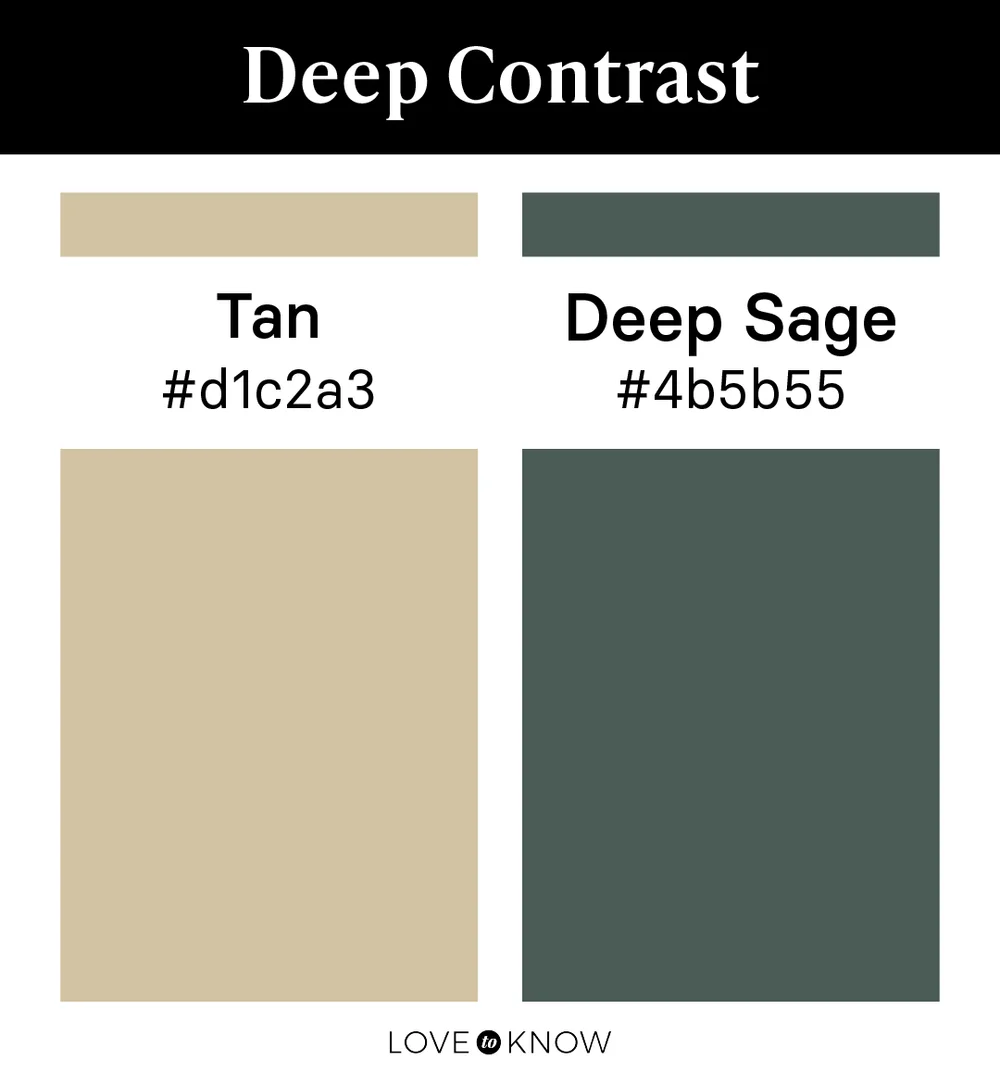 Deep Contrast Color Palette