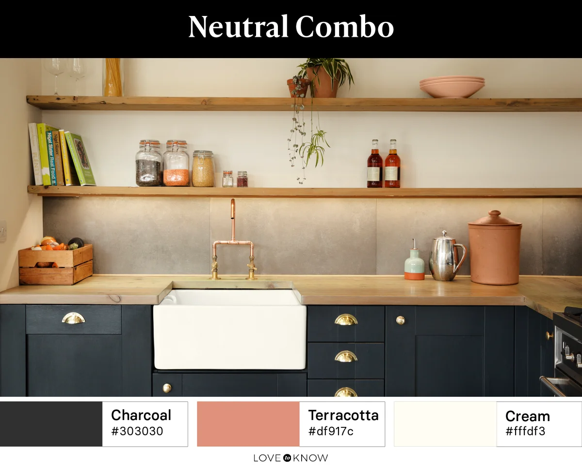 Neutral Combo Color Palette
