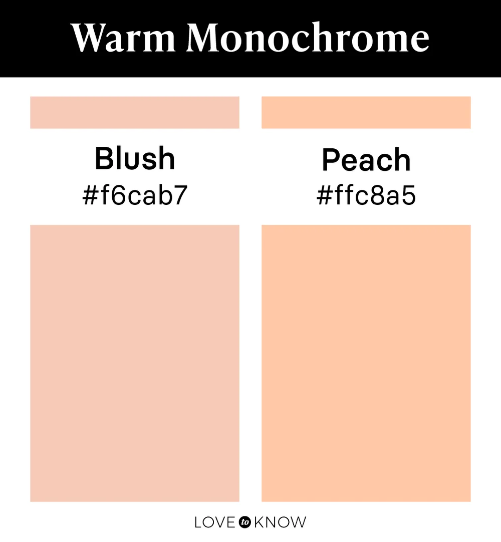 Warm Monochrome Color Palette