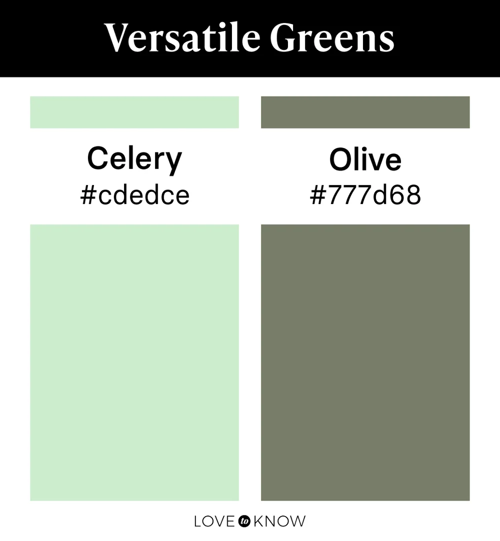 Versatile Greens Color Palette