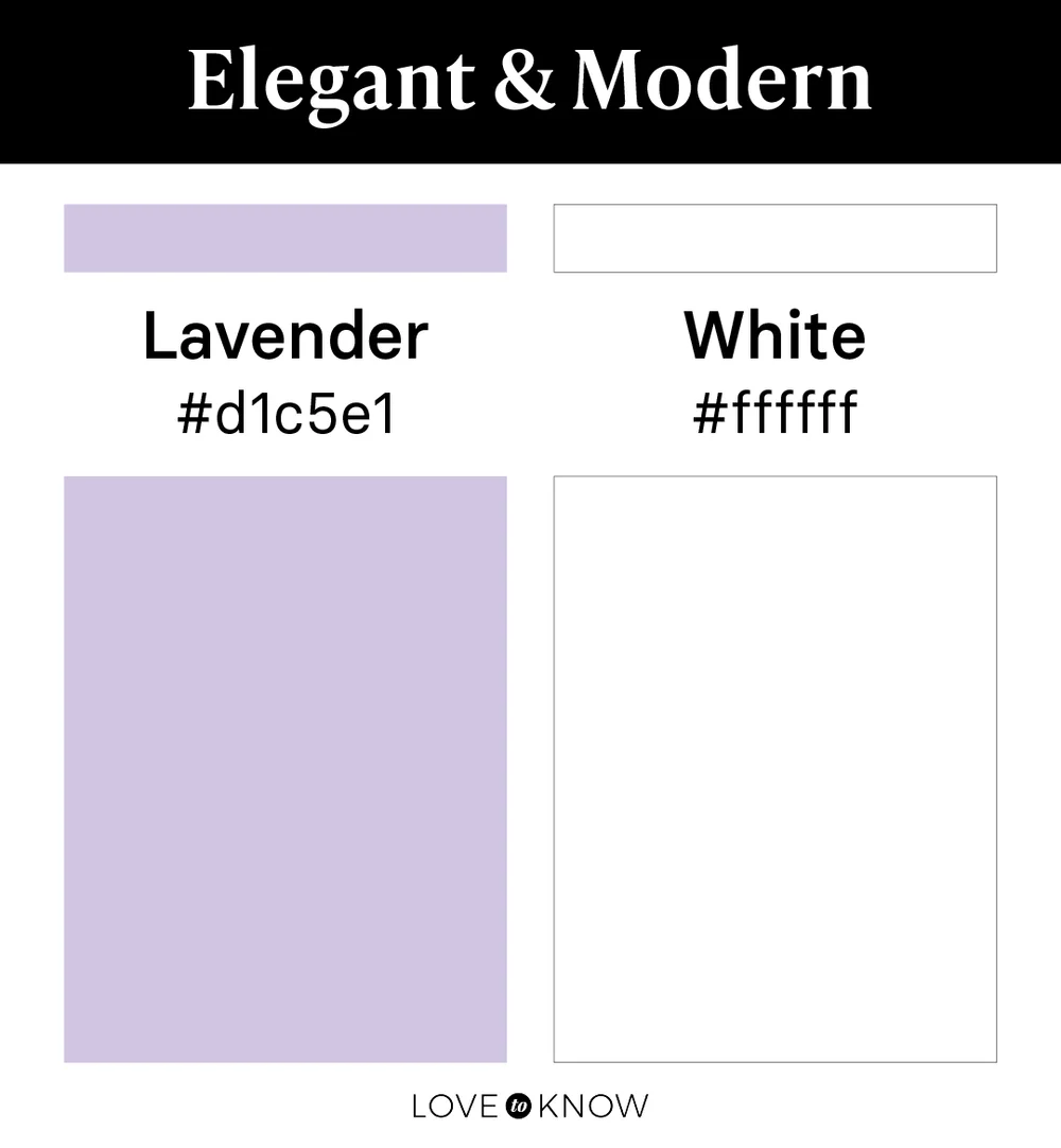 Elegant & Modern Color Palette