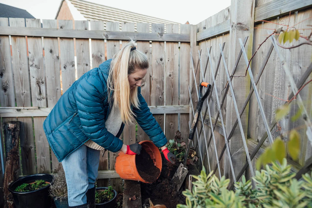 Fresh Soil For The Tree