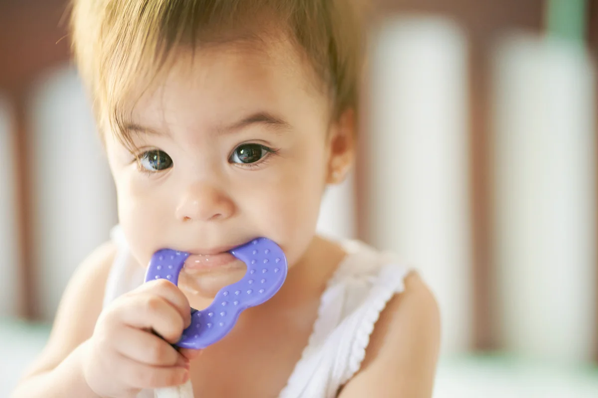 Baby chewing on teether toy