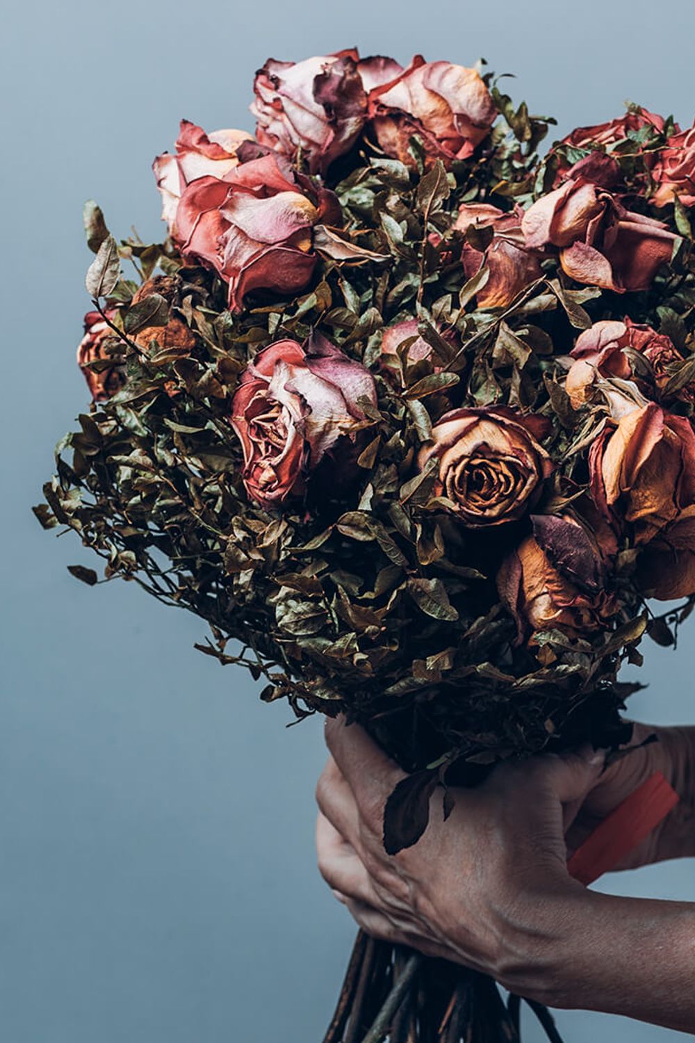 4 Ways to Dry Roses (So You Can Enjoy Them Forever)