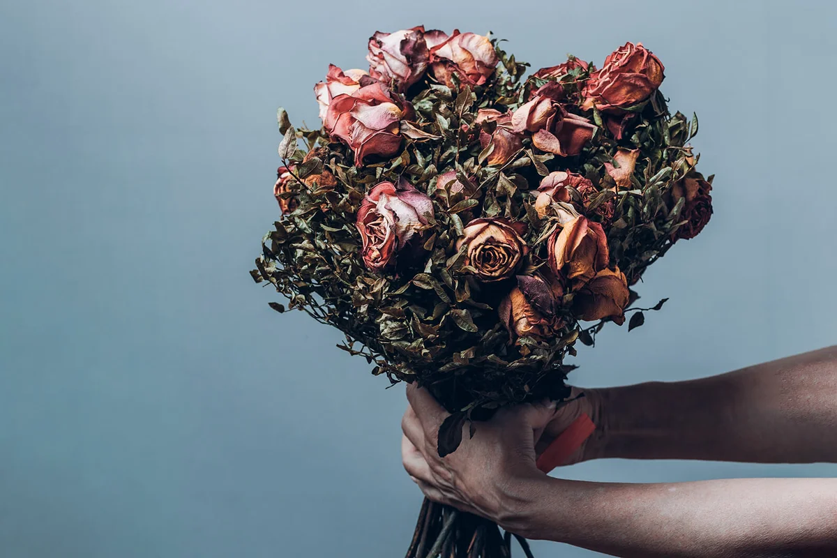 Hands holding bouquet of dried roses