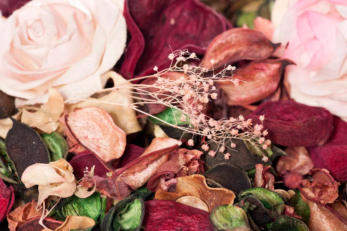 Dried roses in potpourii