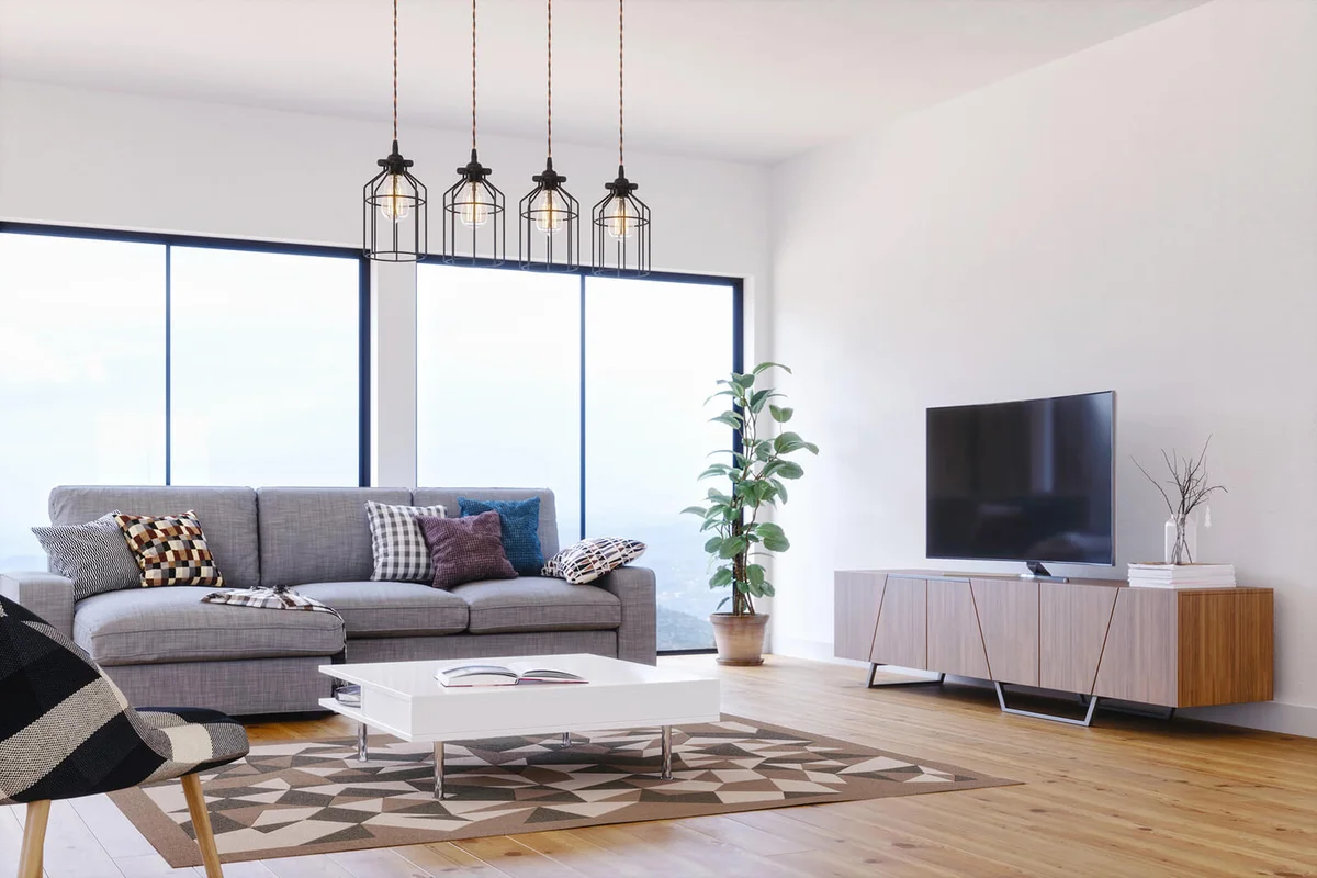 Scandinavian Design Living Room with area rug