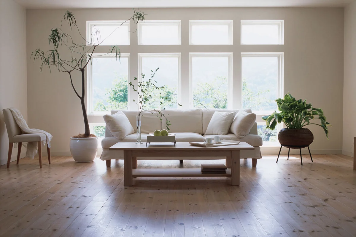 Living room interior