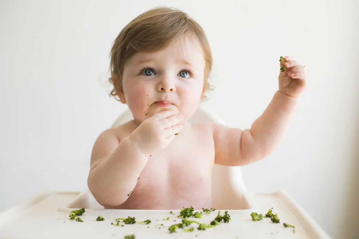 Baby boy eating broccoli in high chair