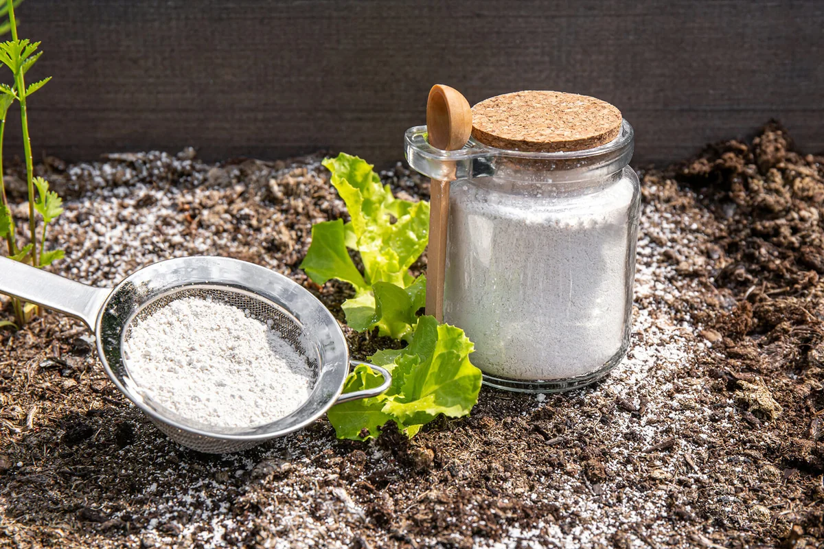 Gardener white sprinkle Diatomaceous earth