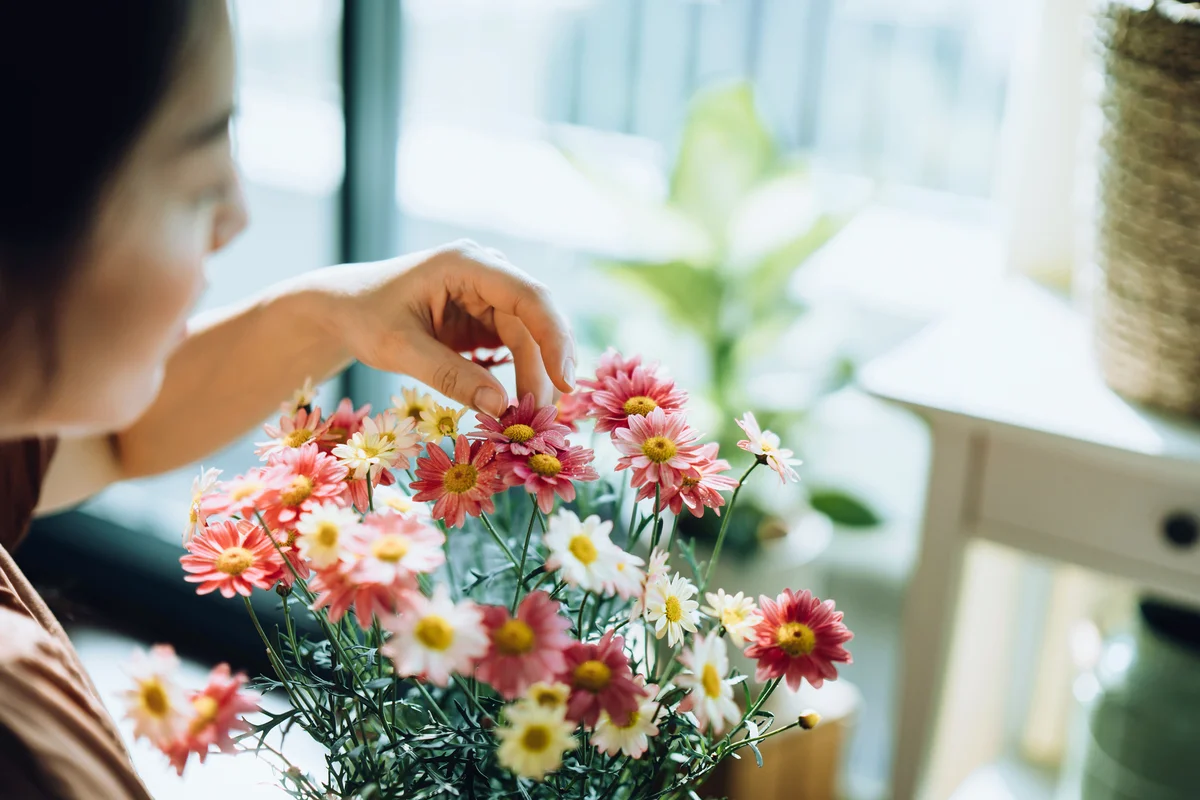 Woman touching flowers by the window