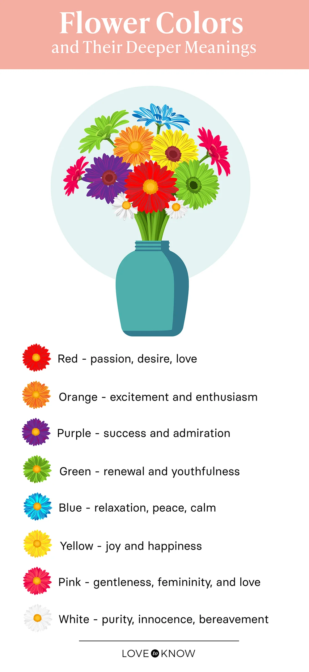 Flower color meanings infographic
