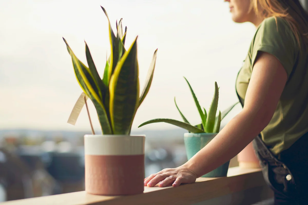 Woman looks out of window with house plants on window sill