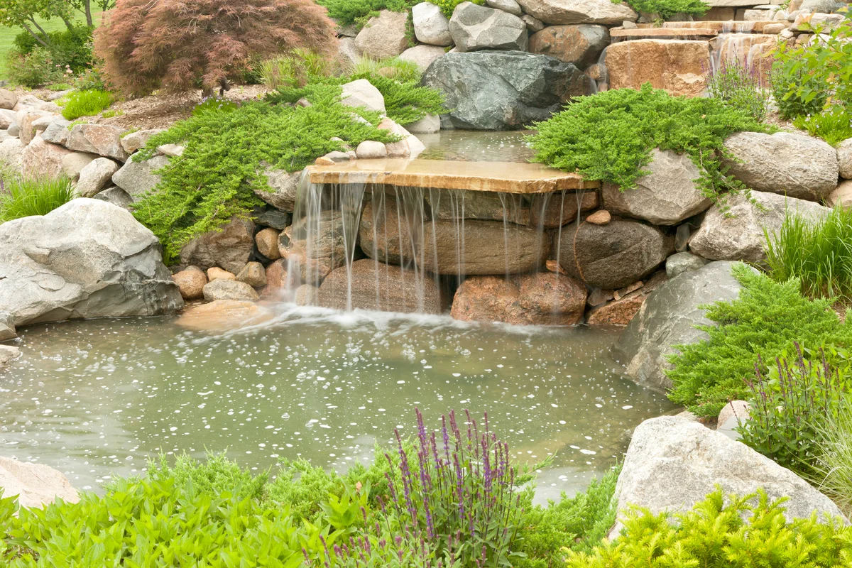 Backyard waterfall and pond