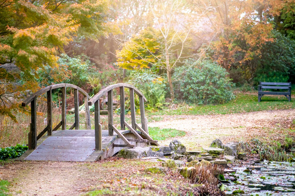 Wooden rustic bridge in an English autumn garden with a pond