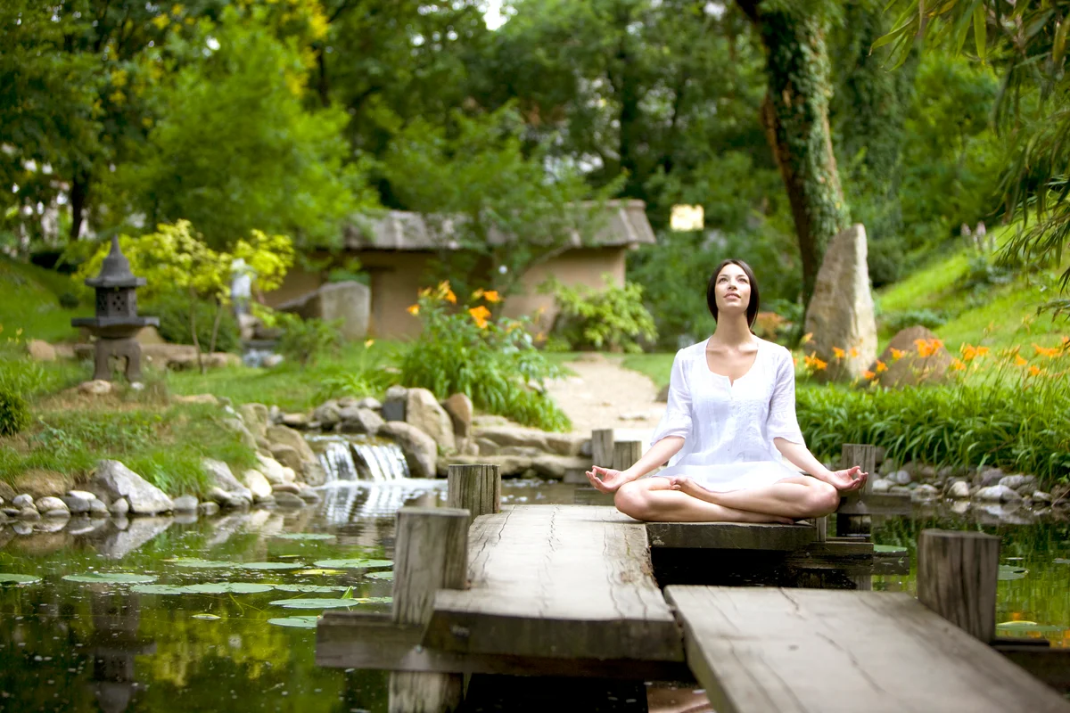 Create a Beautiful Meditation Garden