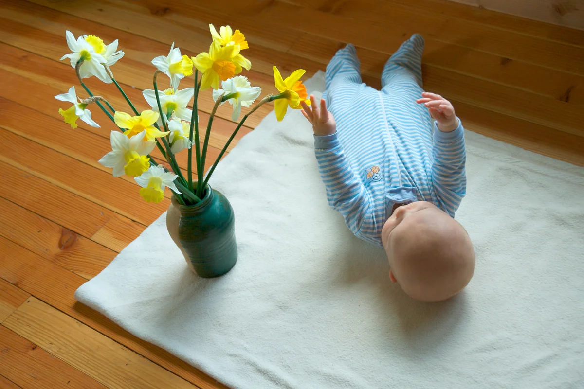 Baby with vase of mixed daffodils