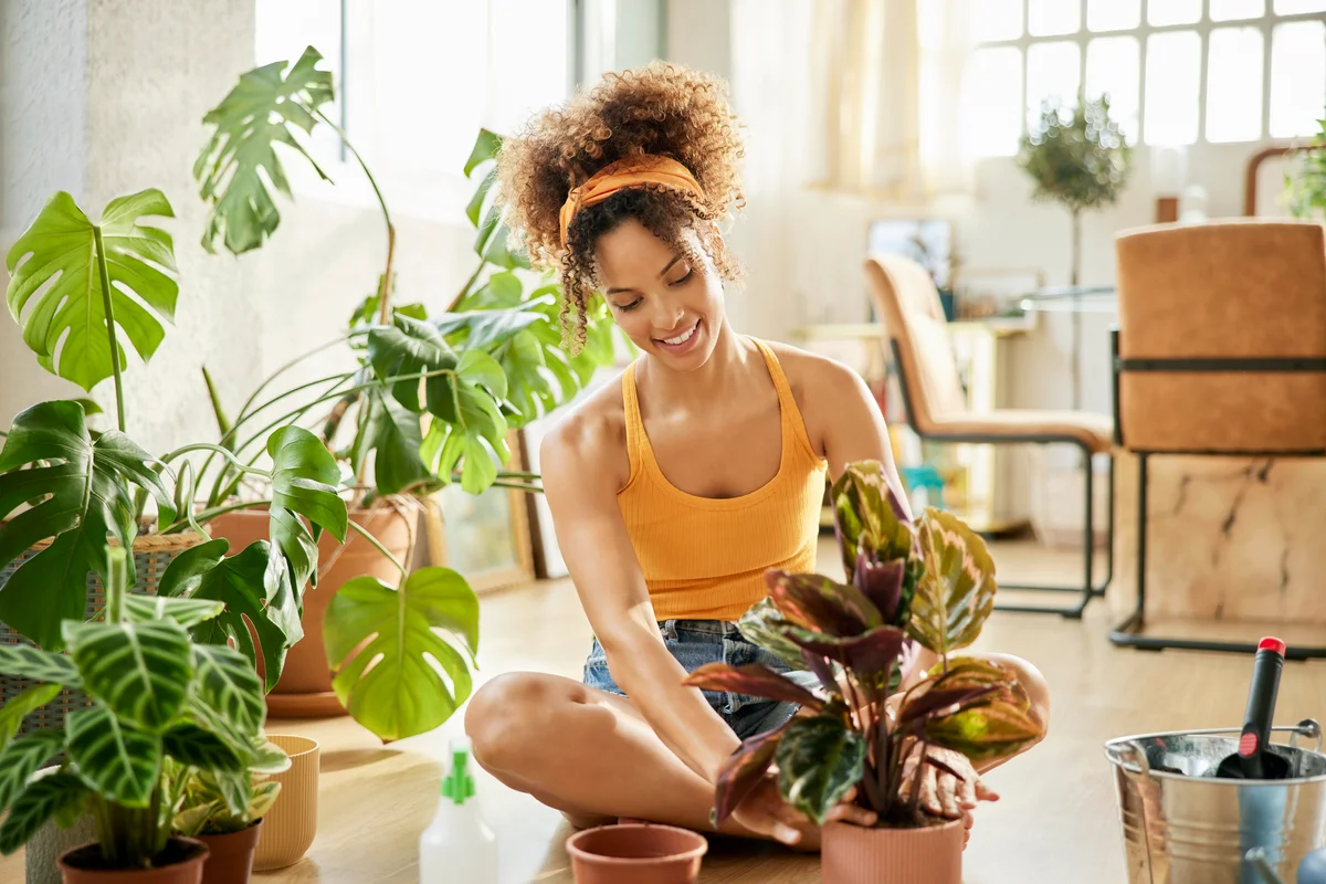 Caring for Indoor Plants