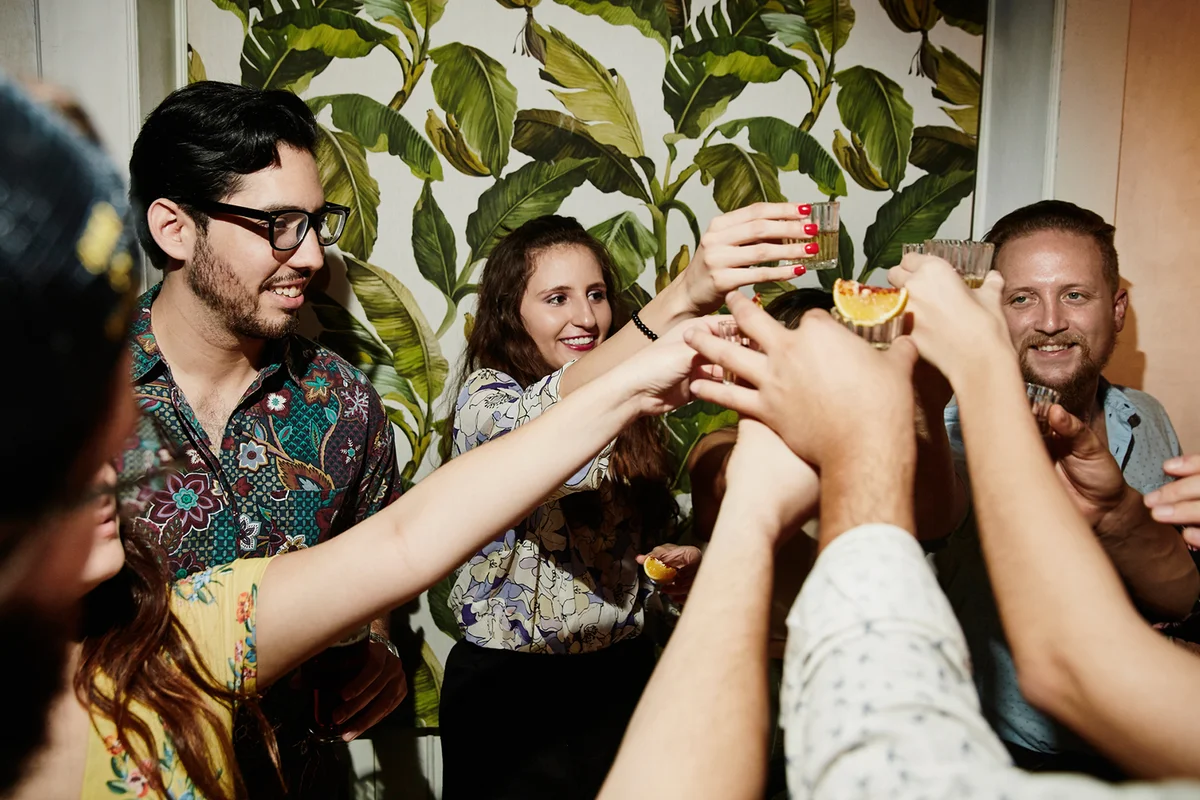 Group of friends toasting during party