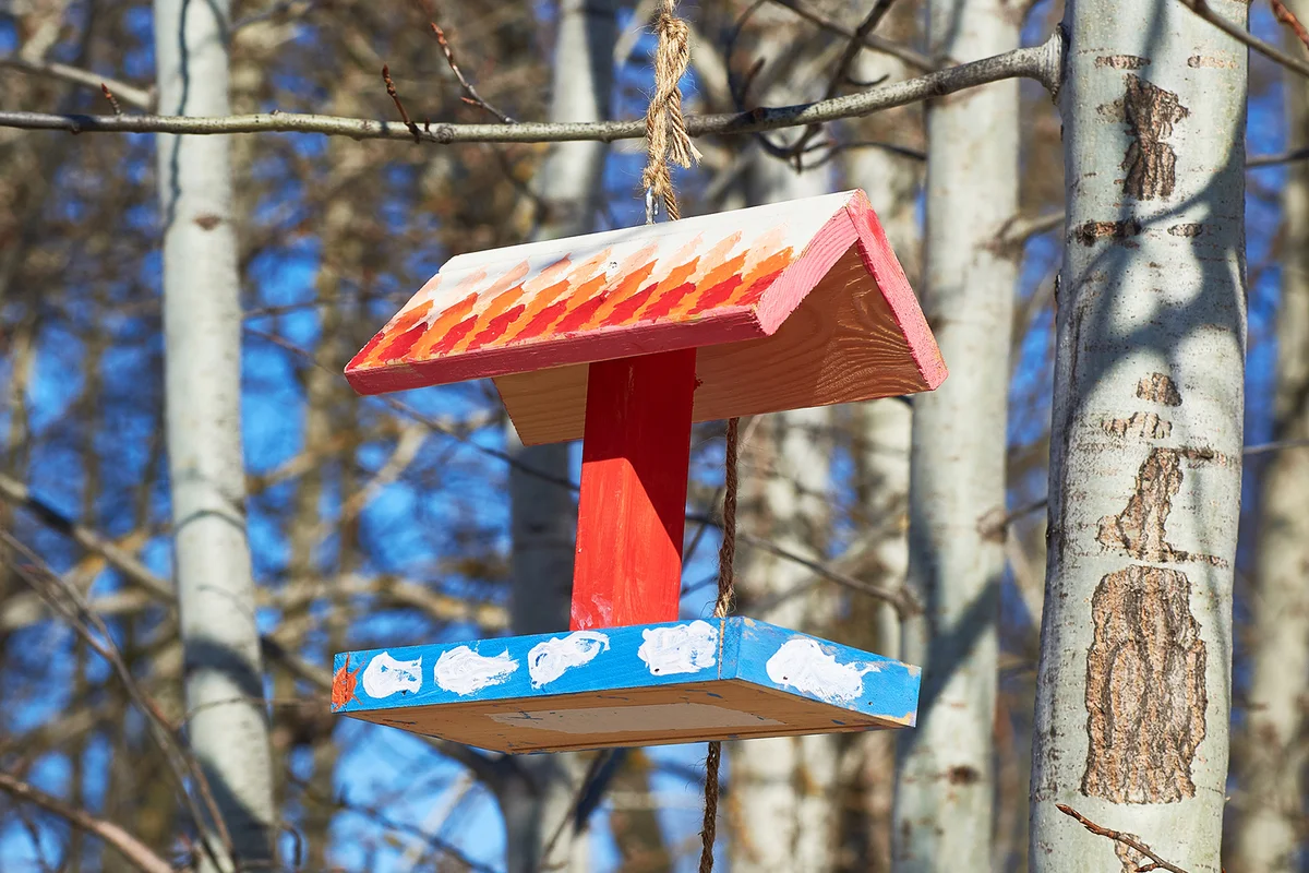 A beautiful colorful wooden bird feeder hangs on a tree branch against a blue sky background