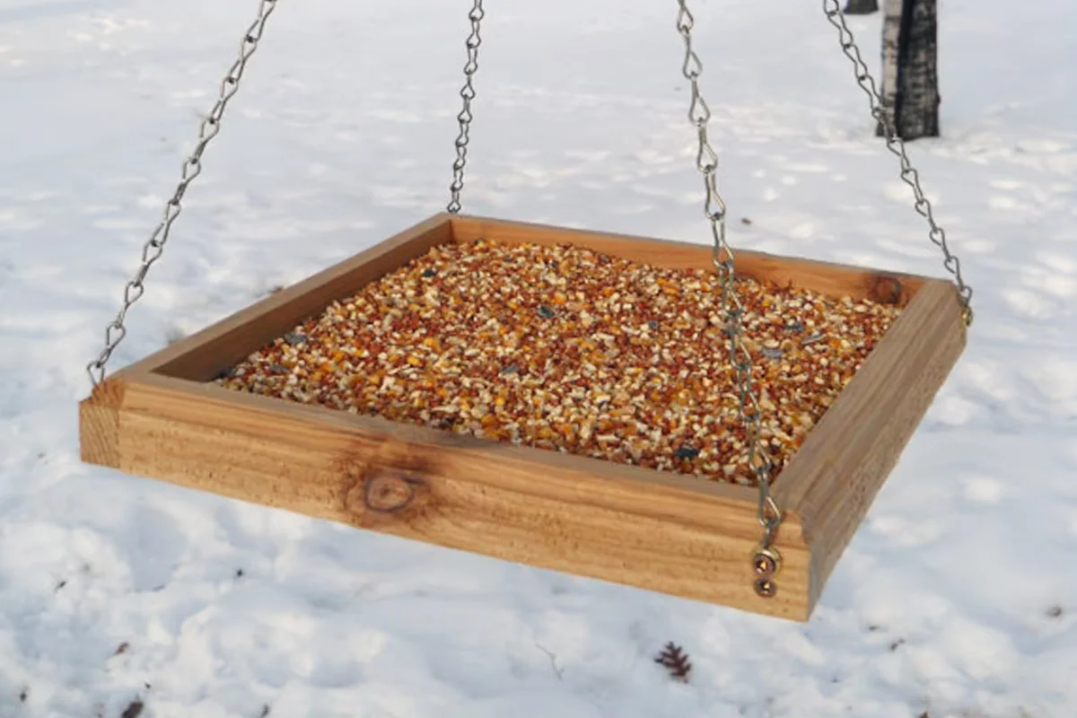 Hanging Bird Feeder