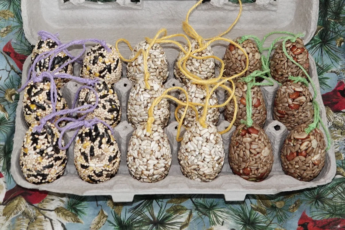 Birdseed Eggs in Carton  18 Feeder  Ornaments Jute Hangers