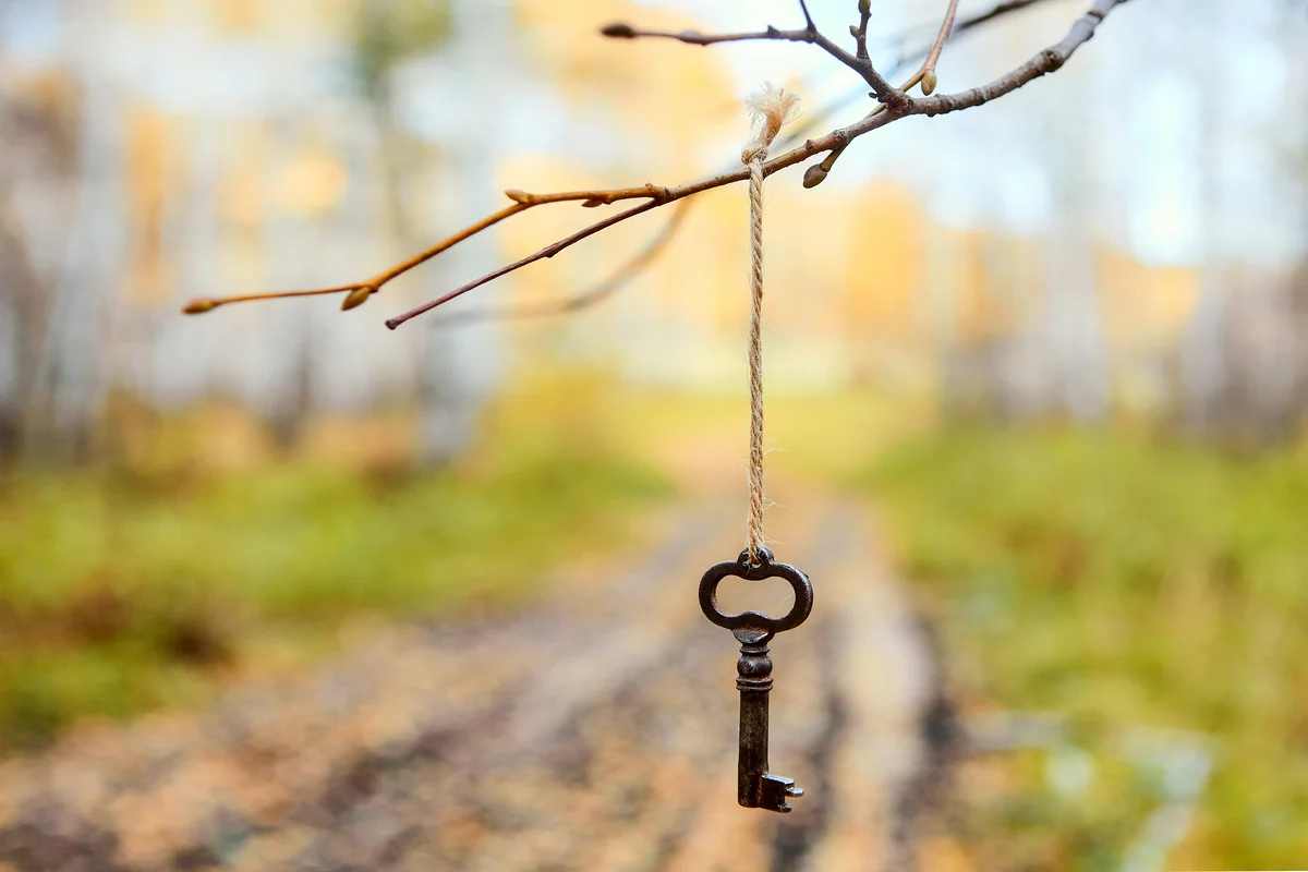Antique old key hung on a tree