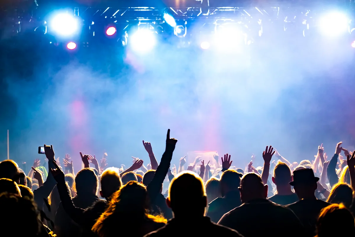 Crowd Of People Dancing In A Concert