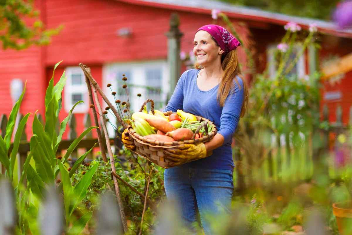 Woman in garden holding basket full of spring vegetables