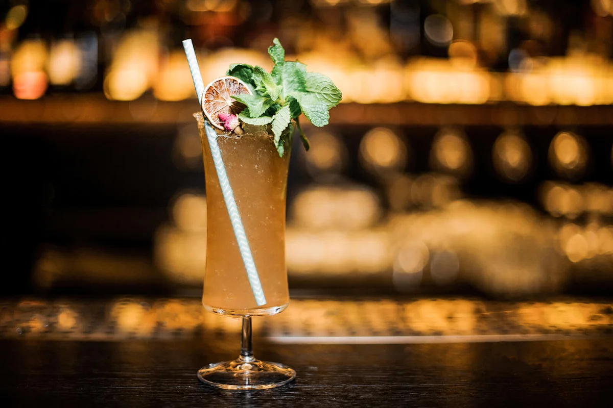Sherry Cobbler decorated with dried lemon, mint branch and tubule