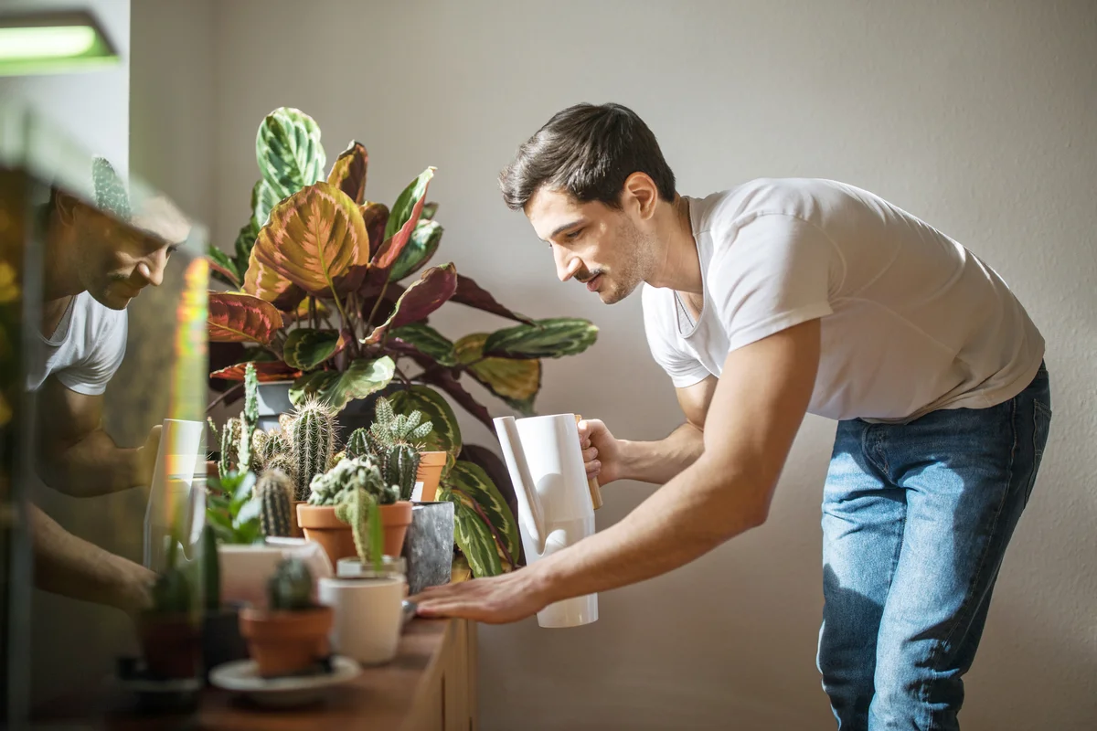 Man watering plants in his living room