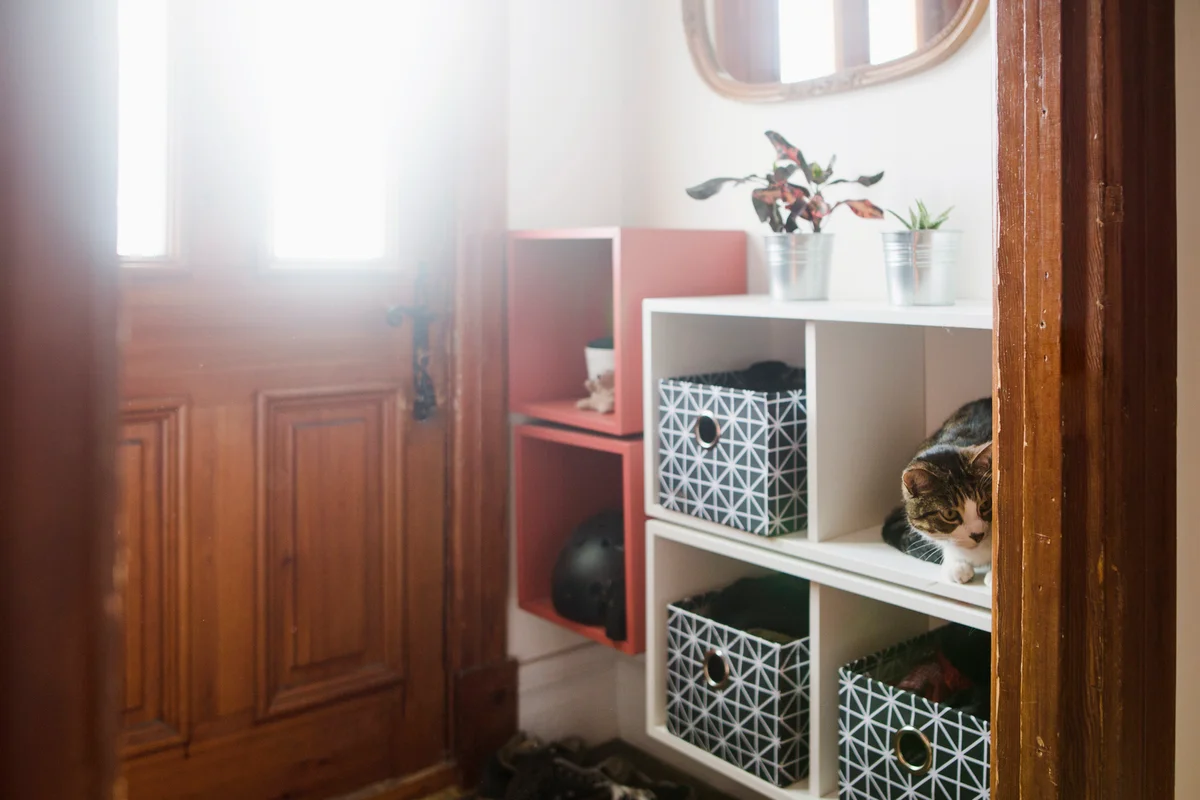 Entrance hall with storage compartment