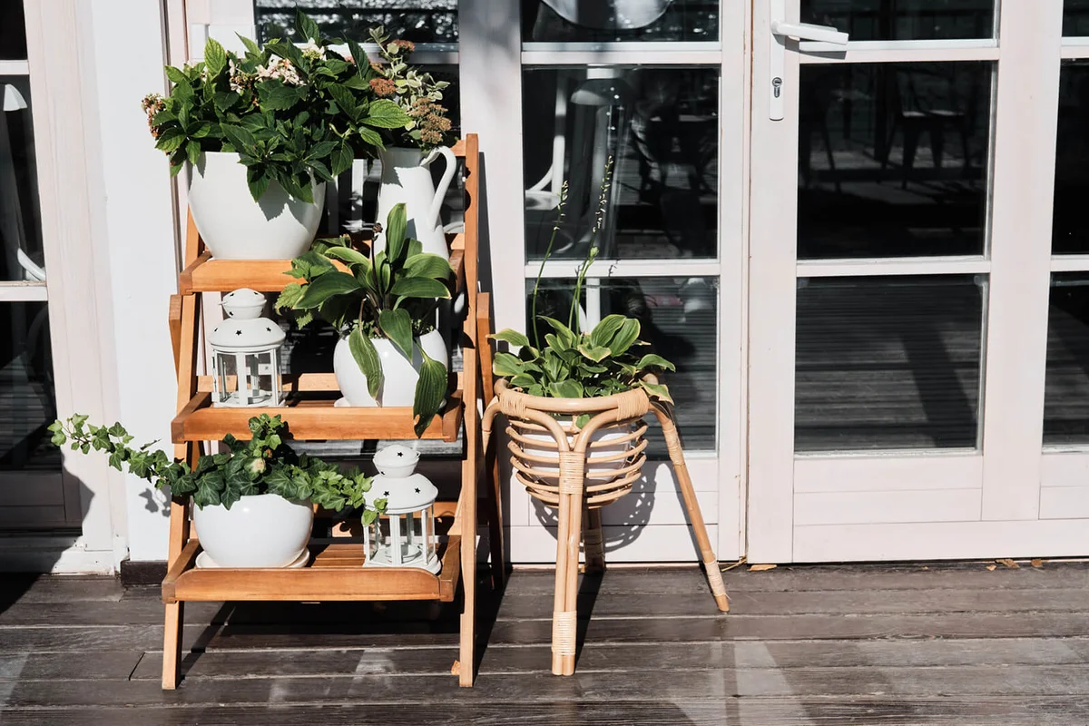 Decorative wooden ladder with indoor plants and flowers in pots