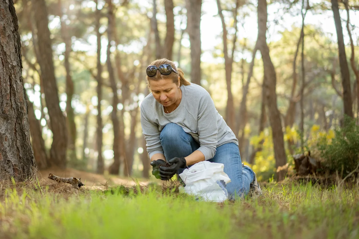 Woman removing live mushrooms from soil