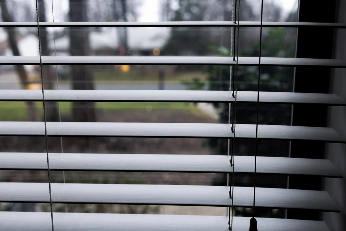View outside of window blinds on overcast winter day