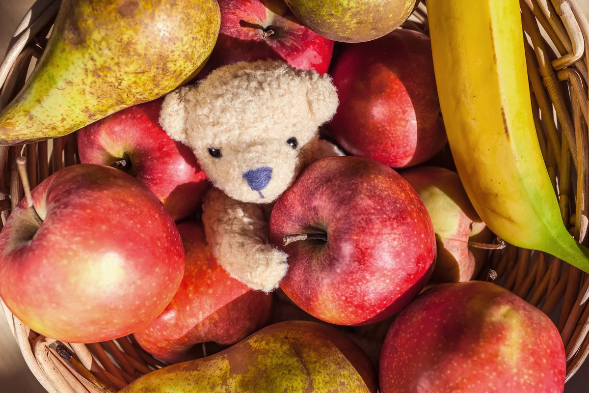 Cute little teddy bear inside fruit basket with apples, pears and banana
