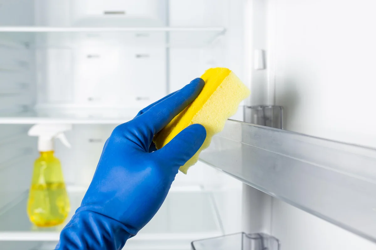 Hand in glovews cleaning fridge inside