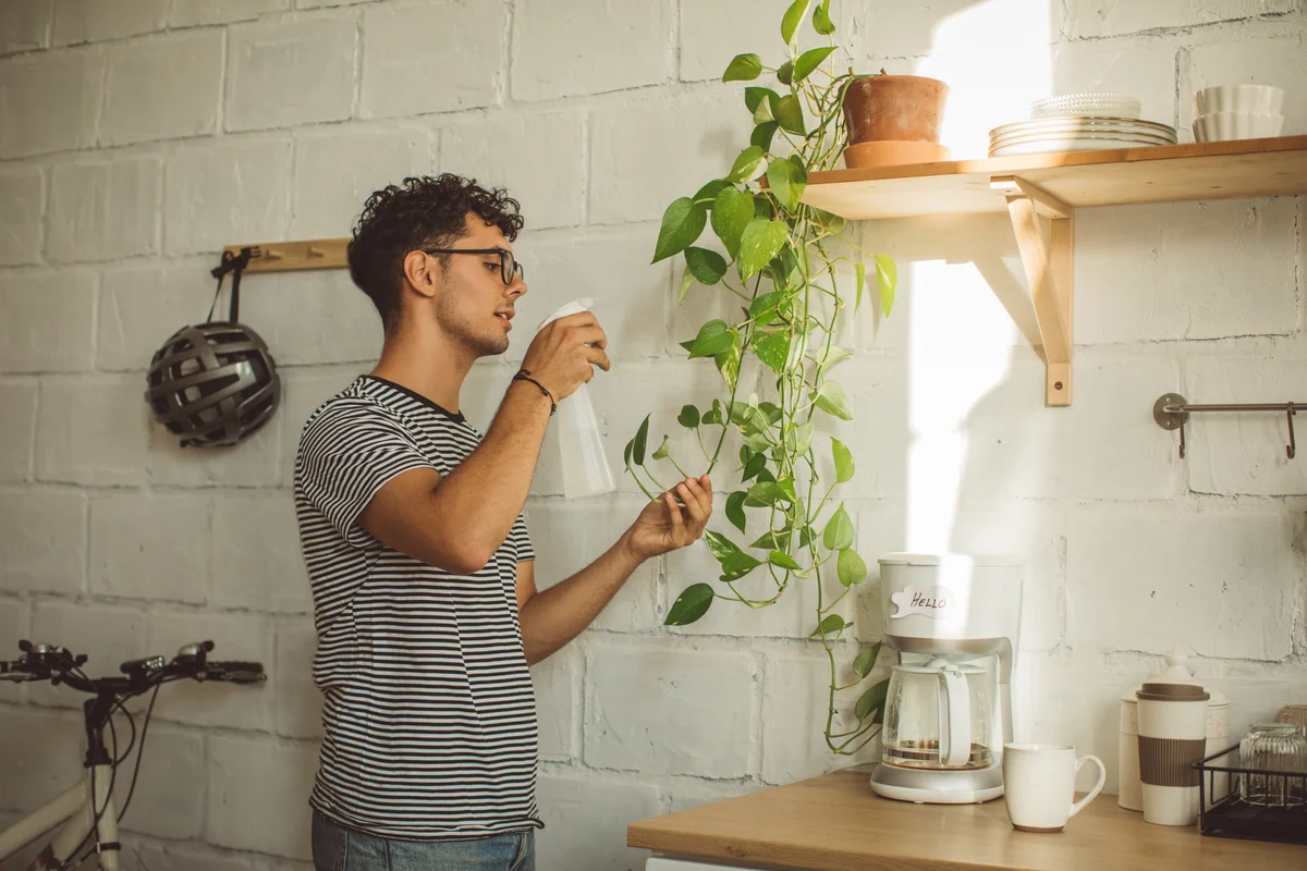 Man spraying plants