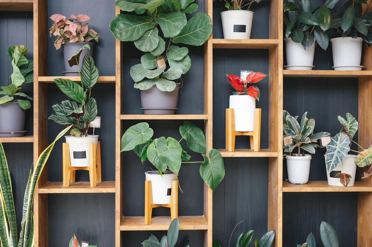 wall of artificial plants
