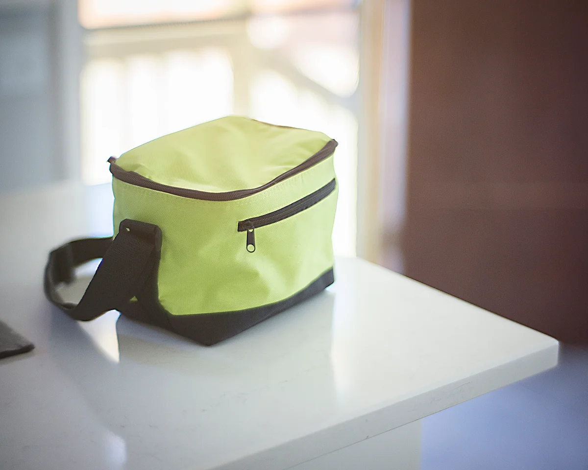 lunch cooler bag on kitchen counter