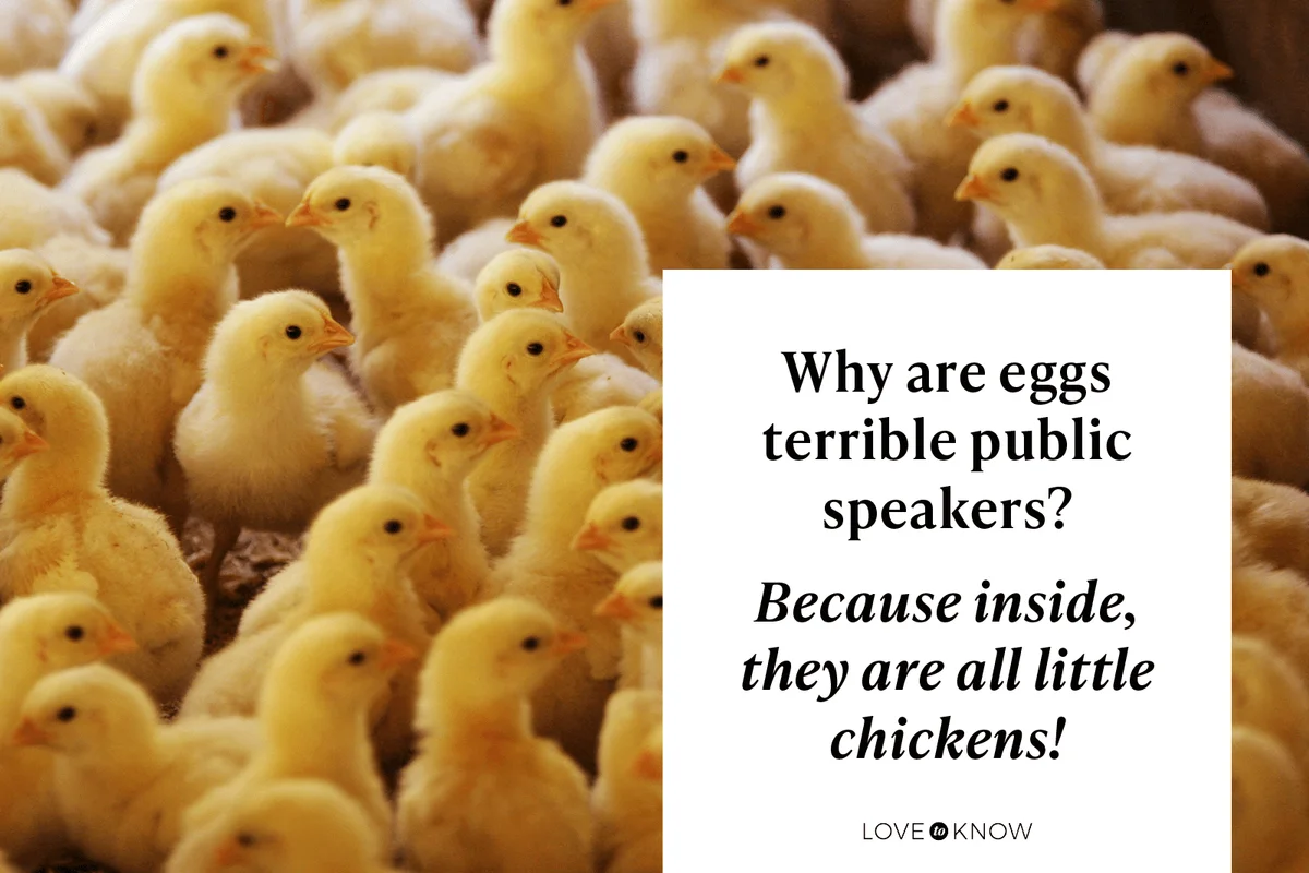 Clever Egg Puns That Will Have Everyone Rolling With Laughter