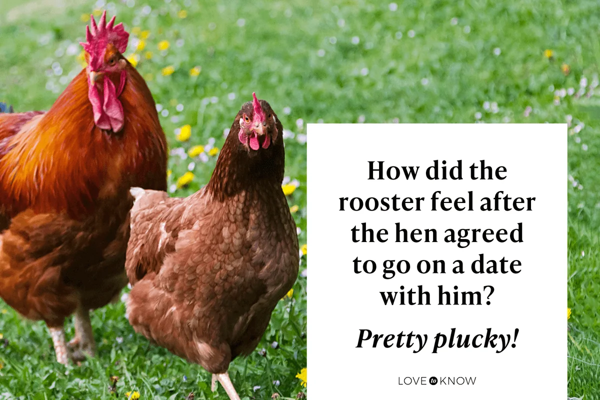 Funny Egg Jokes to Crack at Parties