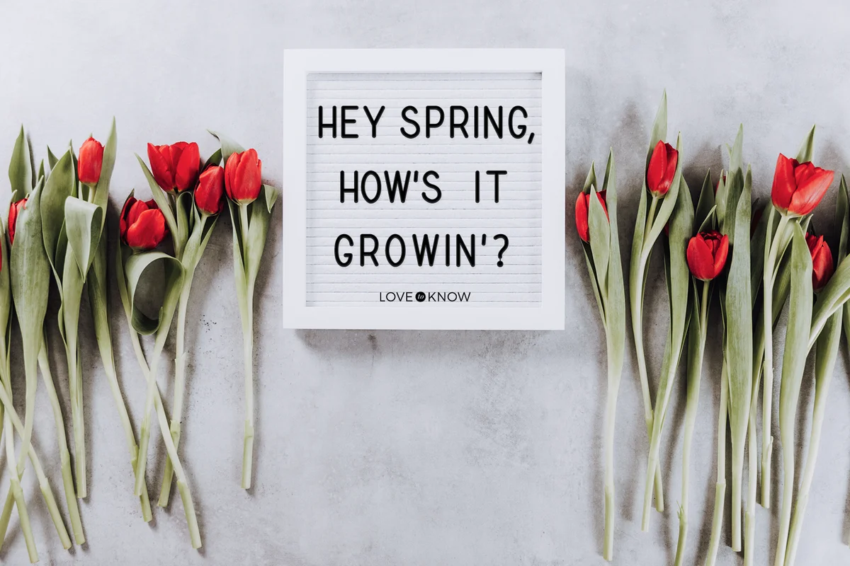 White blank letter board with red tulips
