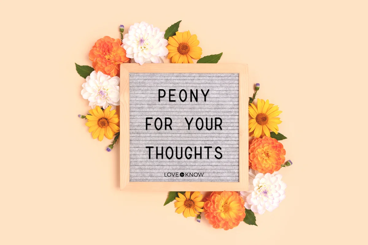 Letter board with border frame made of dahlia flowers