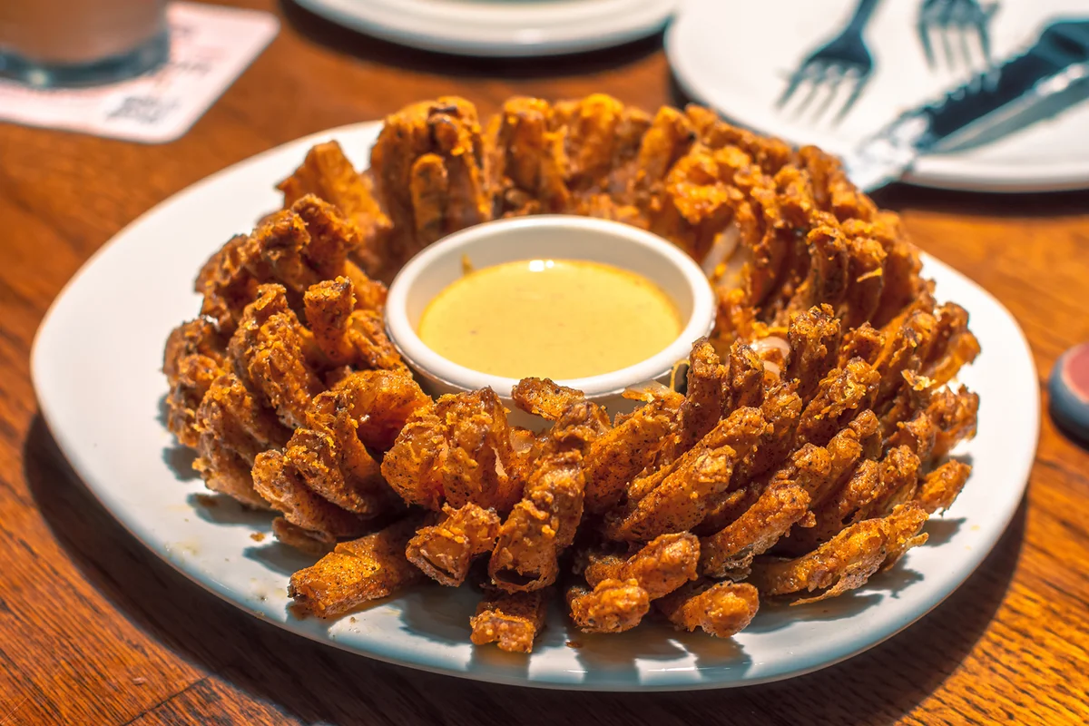 Fried blooming onion with dipping sauce.