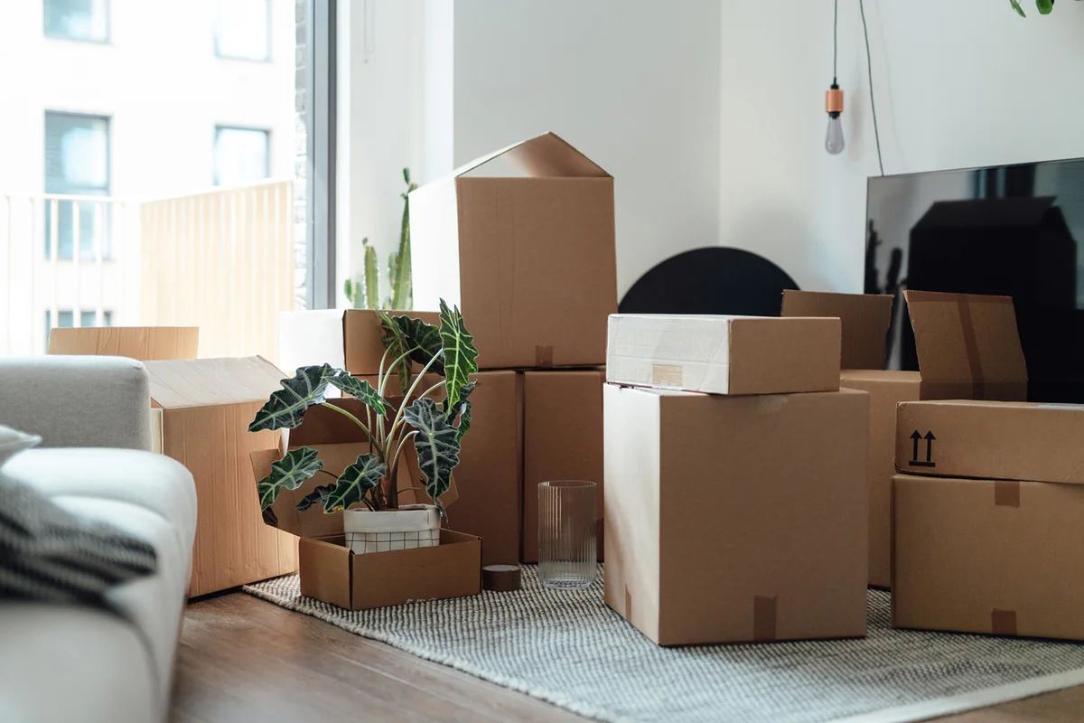 House moving inspires changes in life