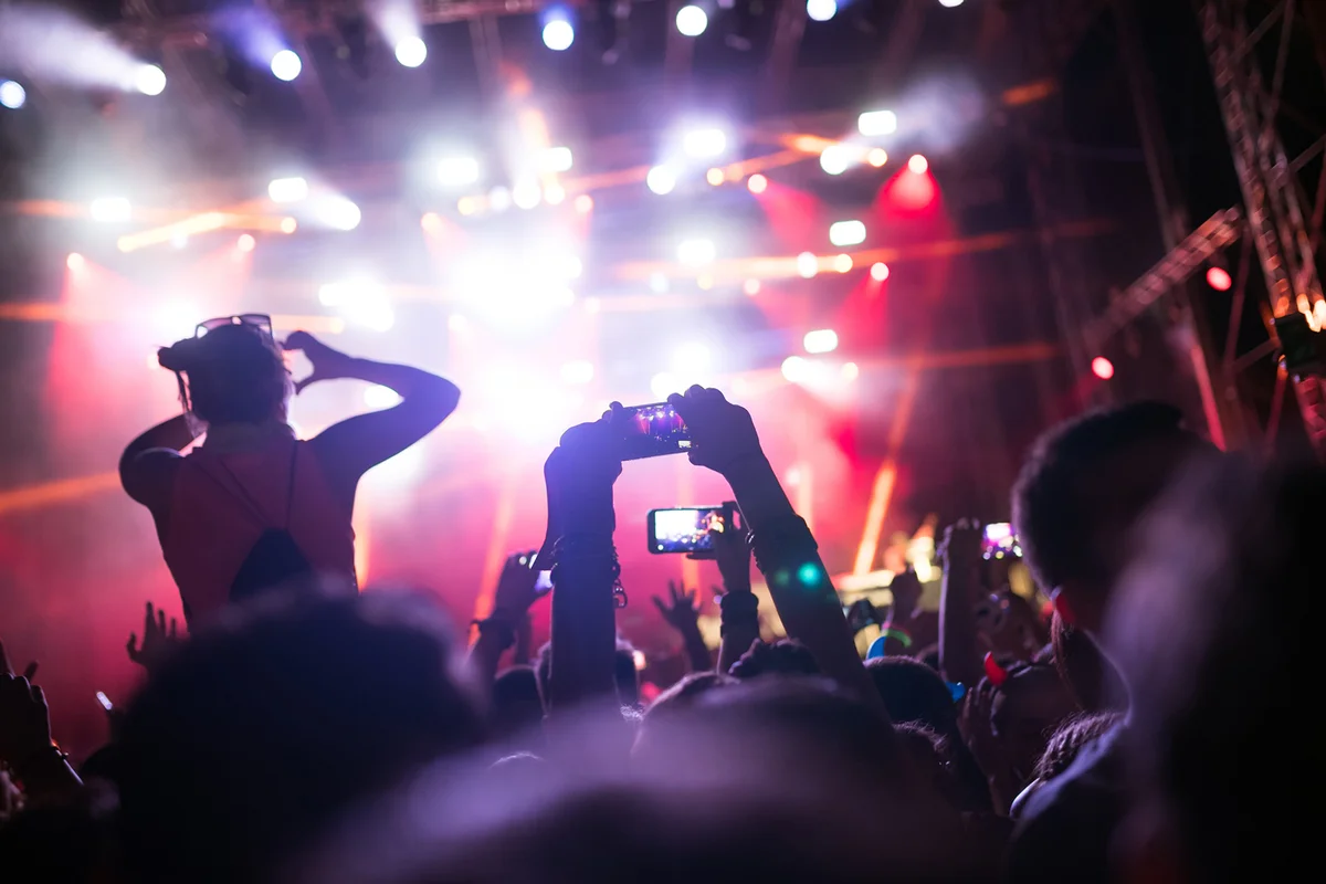 Portrait of happy crowd enjoying at music festival