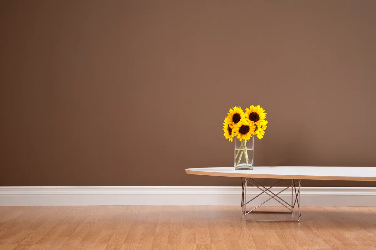 Sunflowers against medium-brown wall