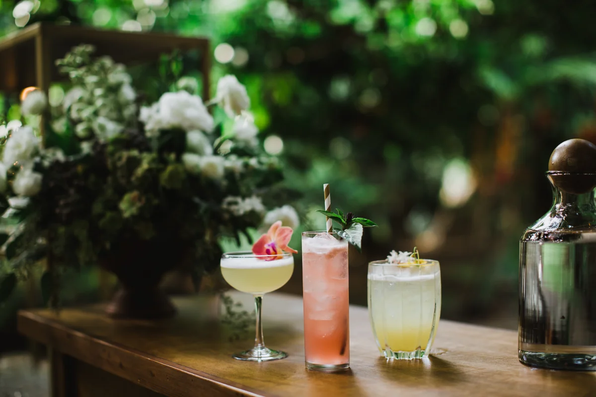 Spring drinks in the garden