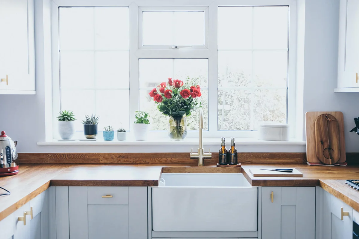 Modern and bright domestic kitchen with succulent plants